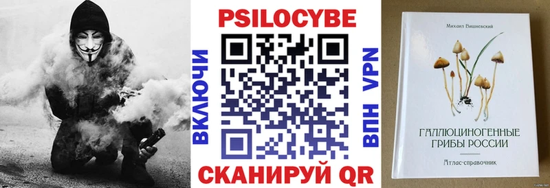Псилоцибиновые грибы Cubensis  дарк нет как зайти  Инта 